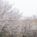 문현4동 체육공원 이미지