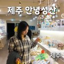 을-050 | 제주 안녕성산 소품샵 제주투어패스 기념품 주차 후기