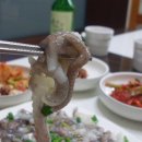 녹동세발낙지 이미지