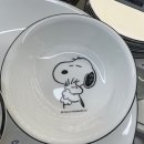 한벌태권도 | [우당탕탕 결혼준비3] 이사에 결혼에 수많은 걱정에 굿바이 인사에 정신없는 나날들