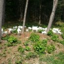 정우축산 이미지