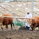 국치마을 이미지