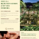 루스파 이미지