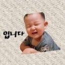 진영정육점 이미지