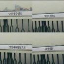 카스프 이미지
