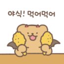 보들이쭈꾸미 이미지