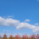 순천만국가정원 이미지