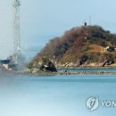 브레인디브레인D