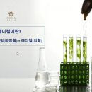 올가라인 이미지
