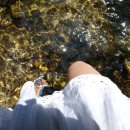 광덕그린농원 이미지