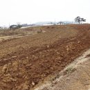 김선태농장 이미지