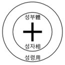 윤홍식의 에베소서 강의 3강 : 성령의 도장을 받아라 이미지