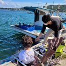 양포 방파제 화장실 이미지