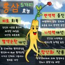 홍삼..먹지 말아야 할 사람과 제대로 먹는 방법 이미지