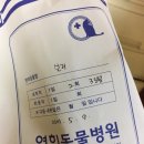 연희동물병원 | 라챌마켓 강아지 대리석+강아지 우비+강아지 장염(연희동물병원) 후기