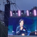 과천 재즈 피크닉 후기