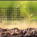 담우 이미지