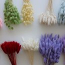 엠앤제이 이미지