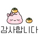 파란만잔세종정부