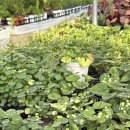 화원농장1 이미지