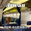 카이로스포 | 카이로에서 아스완 이동ㅣ이집트에어 예약, 탑승 후기 (+카메라 분실 사건과 이집트의 친절함)