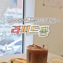 라피드몽