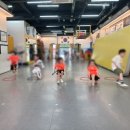 용인대 블랙벨트 태권도 이미지