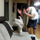 클럽이 세 군데 옴바, 섬머플레이스, 에픽 옴바 추천 이미지