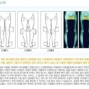 미앤미한의원 Daum카페