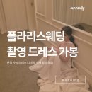 폴라리스 | 폴라리스웨딩 촬영드레스 후기(변형, 슬림, 풍성, 유색)