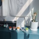 스킨누보세븐 이미지