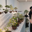 김해종합관광안내소 이미지