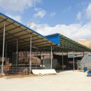 용민농장 이미지