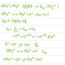 ㅇㅂㅊ HPO4^2- + PO4^3- 완충용액 이미지