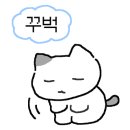 손주약국 이미지