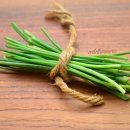 차이브(CHIVES)