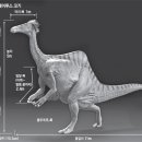 공룡발톱 이미지