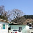 항월마을 이미지