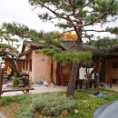 고바우 이미지