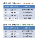 점보빌리지 | 점보빌리지 제주 후기｜공연 시간 맞춰 가면 만족도 높았던 이유