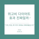 (주)의미있다 | “위고비 다이어트 효과 진짜일까? 가격, 처방, 후기까지 제대로 파헤쳐봤습니다”