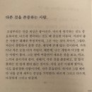 강릉인셀덤