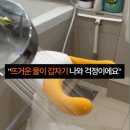 안심에스엘 이미지