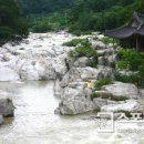 지리산오도재관광농원 이미지