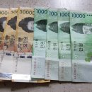 최강할인마트정육점