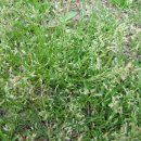 옥성자연휴양림 이미지