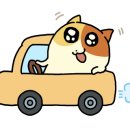 션샤인스팀
