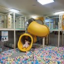 달서아이꿈센터 이미지