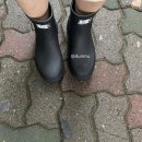 스텔라떡볶이경기일산강선점
