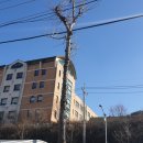 신도시자동차공업사 이미지